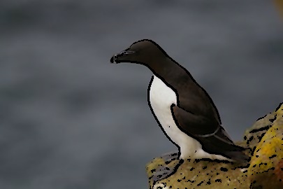 Champ lexical pingouin