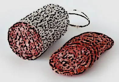 Champ lexical salami