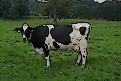 Champ lexical vaches
