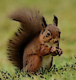 Champ lexical écureuil