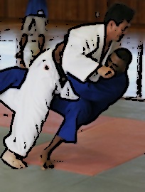 Champ lexical judo